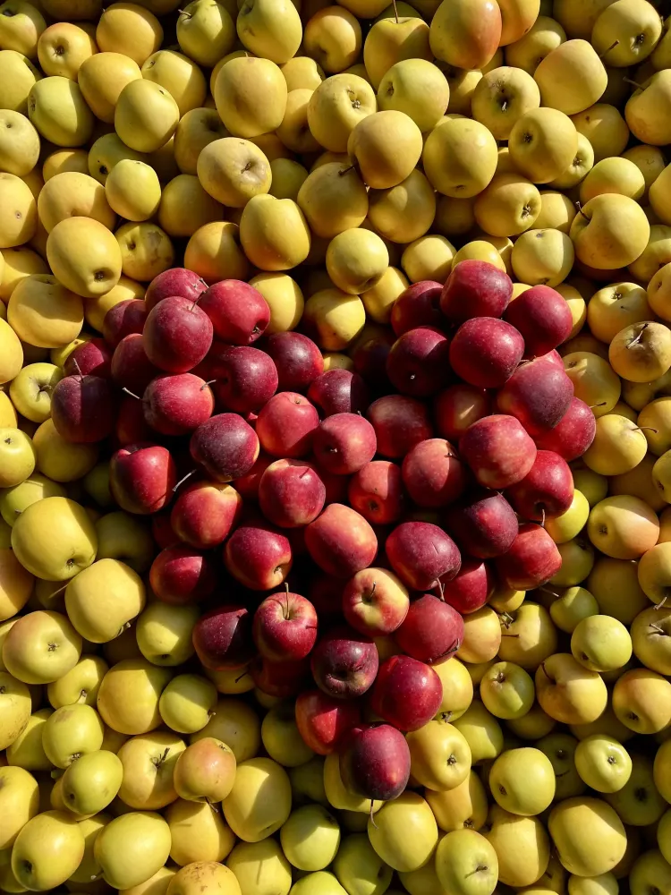 Fruits à Châteauneuf-sur-Isère