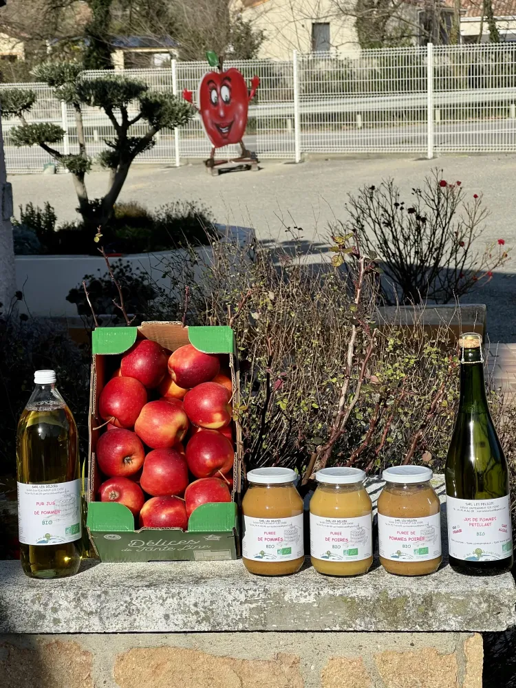 les-delices-fruits-1