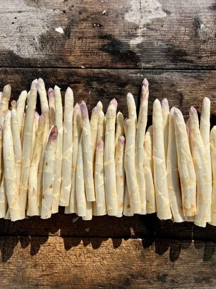 Asperges à Châteauneuf-sur-Isère